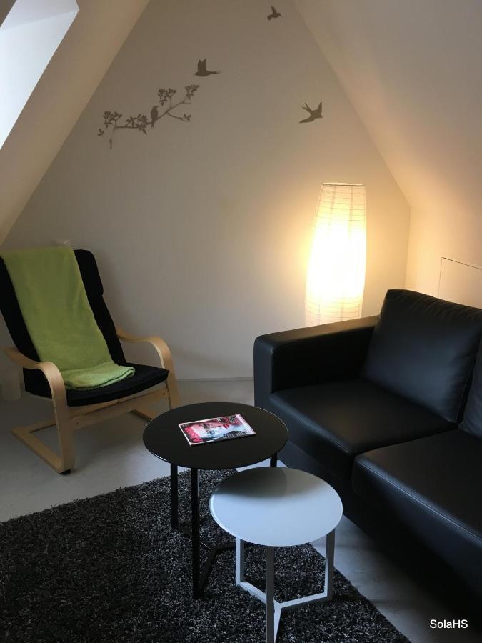Le Nid De La Cathedrale Apartment สตราสบูร์ก ภายนอก รูปภาพ